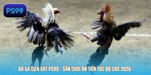 Đá Gà Cựa Sắt PS99 – Sân Chơi Ăn Tiền Tốc Độ Cao 2026
