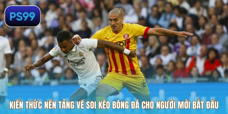 Kiến thức nền tảng về soi kèo bóng đá cho người mới bắt đầu