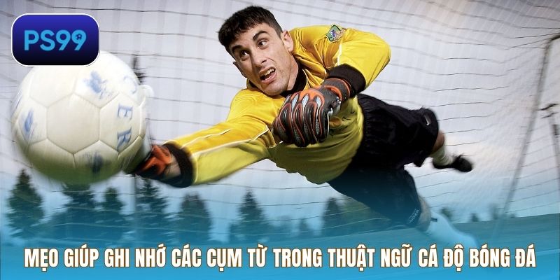 Mẹo giúp ghi nhớ các cụm từ trong Thuật ngữ cá độ bóng đá